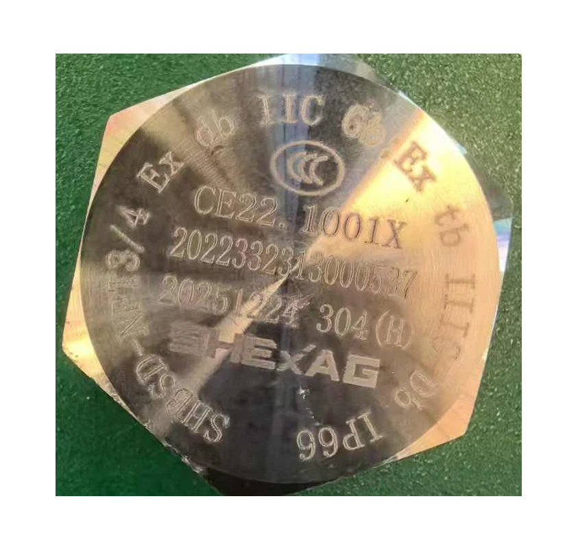 HPP-75 Ex-Proof Plug 3/4 NPT