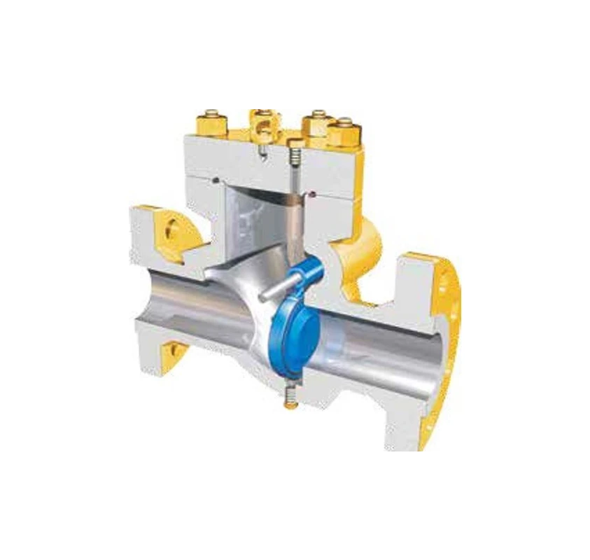 Wheatley 500 Swing Check Valve