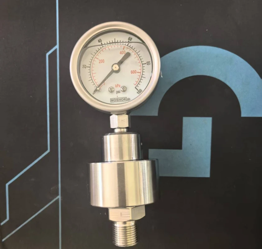 0-100 Psi Diaphragm Pressure Gauge Male M20x1.5